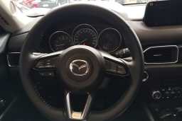 Thumbnail 19