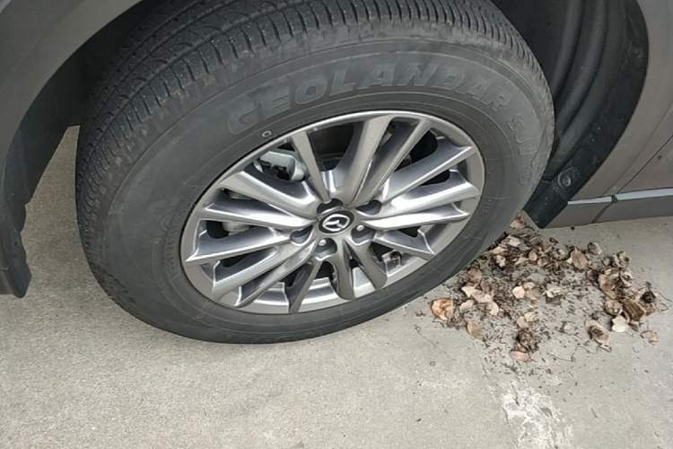 Used Mazda CX-5 2019 CloudControl Version 2.0L Automatic 2WD Smart Style China VI Standard Exterior 4
