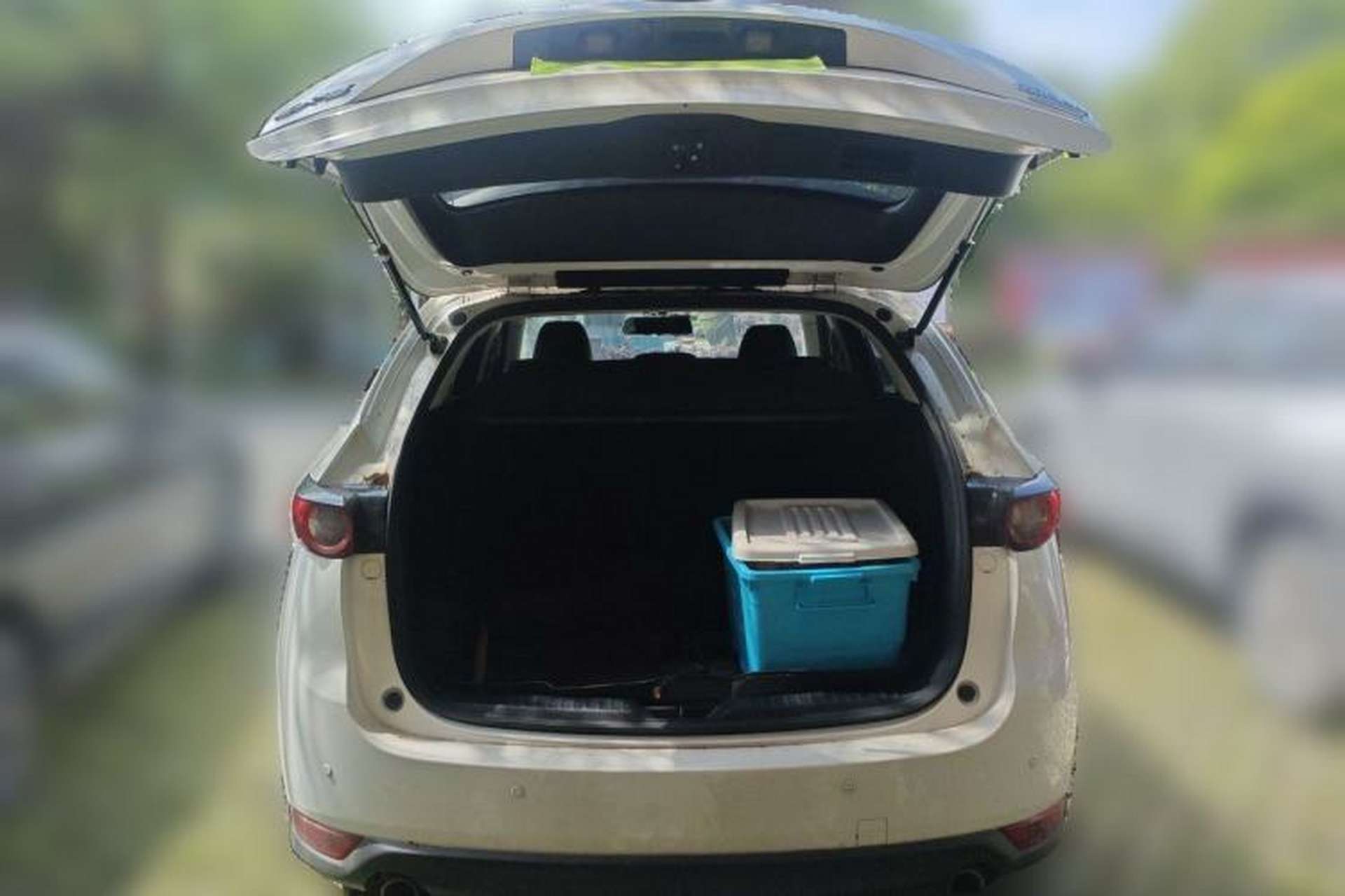 Used Mazda CX-5 2019 Cloud-Controlled Version 2.0L Automatic 2WD Smart Style China V Standard Trunk