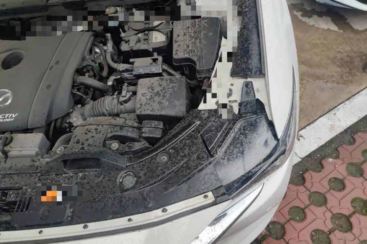 Used Mazda CX-5 2020 2.5L Automatic Two-Wheel Drive ZhiZun Version Engine Bay Left
