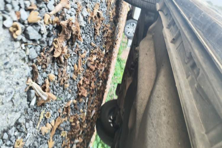 Used Mazda CX-5 2021 2.0L Automatic Two-Wheel Drive Black Knight Chassis Front Left