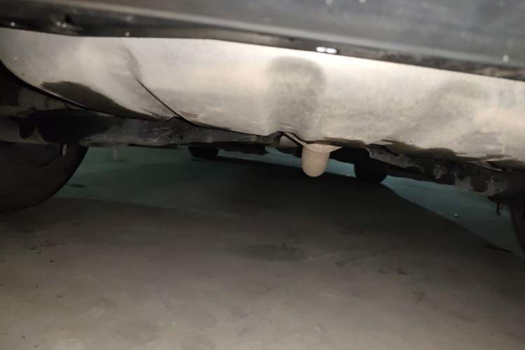 Used Mazda CX-5 2022 2.0L Automatic Two-Wheel Drive Comfort Version Chassis Rear