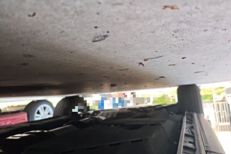 Used Mazda CX-5 2024 2.0L Automatic Two-Wheel Drive Zhiya Pro Chassis Rear Left