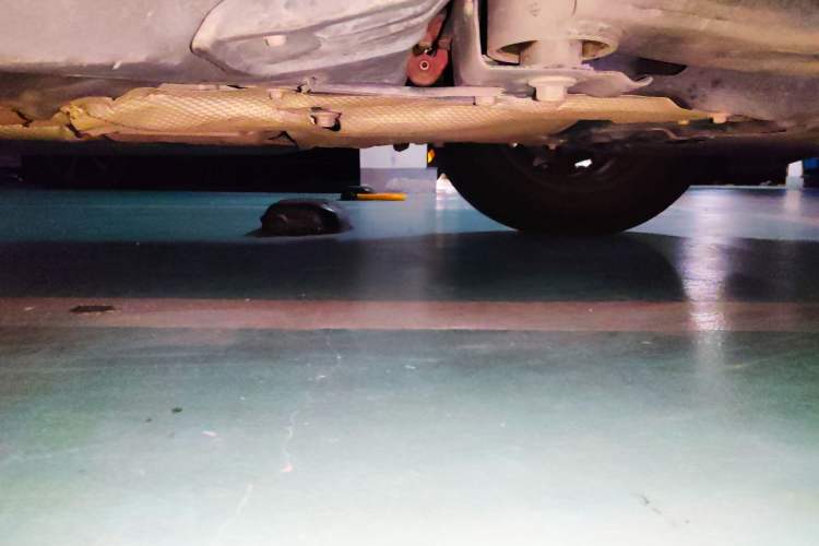 Used Mazda CX-50 2023 2.0L Anxing Edition Chassis Front Right