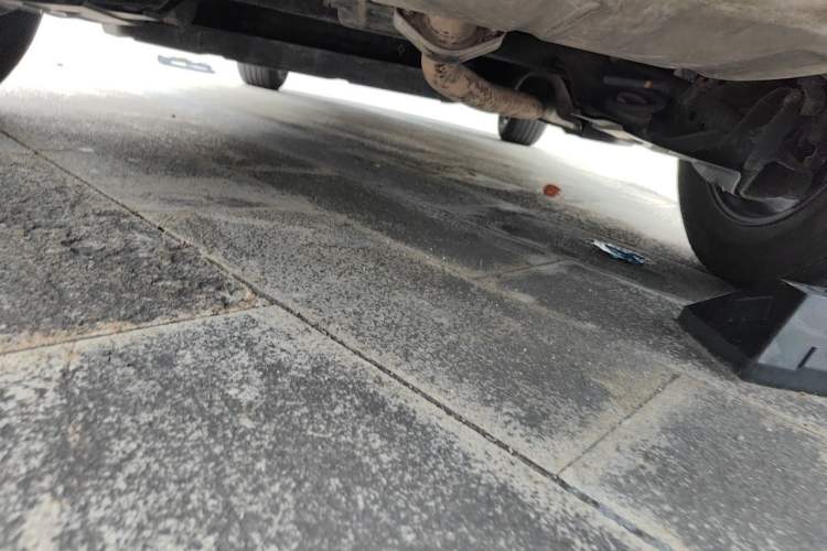 Used Mazda CX-50 2023 2.0L Leading Edition Chassis Rear