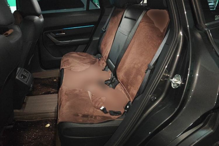 Used Mazda CX-50 2023 2.5L Smart Drive Version Left Rear Seat