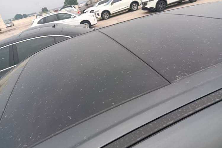 Used Mazda CX-50 2023 2.0L Anxing Edition Roof