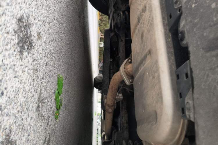 Used Mazda CX-50 2023 2.5L Comfort Edition Chassis Rear