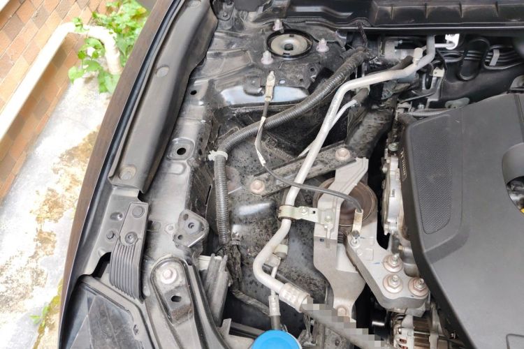 Used Mazda CX-50 2024 2.5L Comfort Edition Engine Bay Right