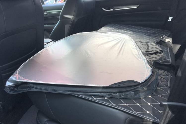 Used Mazda CX-8 2019 2.5L Two-Wheel Drive Prestige Version Left Rear Seat