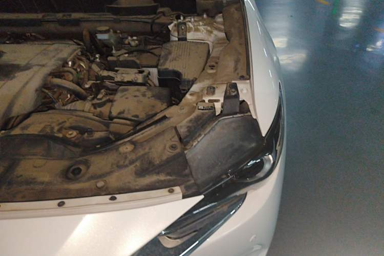 Used Mazda CX-8 2019 2.5L Four-Wheel Drive Deluxe Edition Engine Bay Left