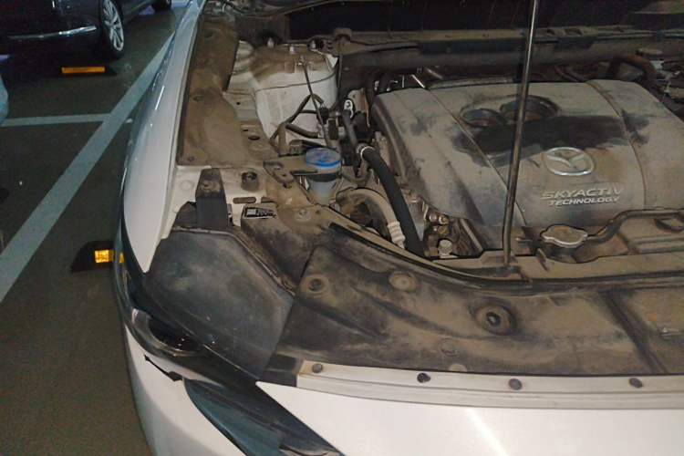 Used Mazda CX-8 2019 2.5L Four-Wheel Drive Deluxe Edition Engine Bay Right