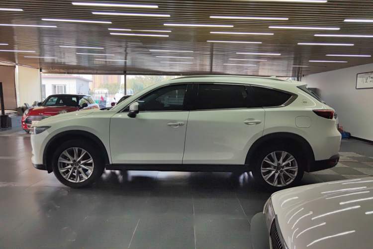 Used Mazda CX-8 2019 2.5L Four-Wheel Drive Deluxe Edition Left Side