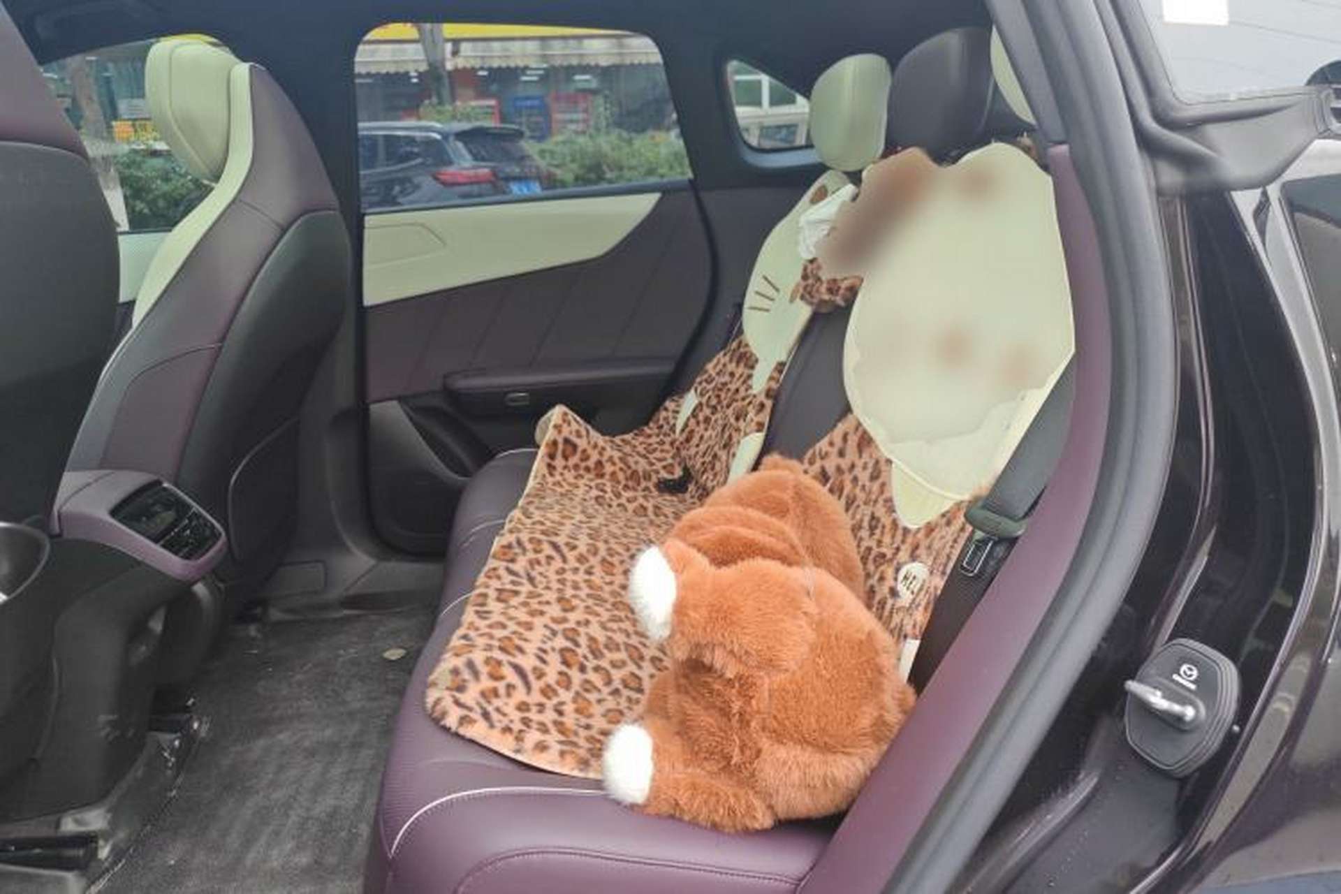 Used Mazda EZ-60 2025 Model Range-Extended 200 Max Left Rear Seat