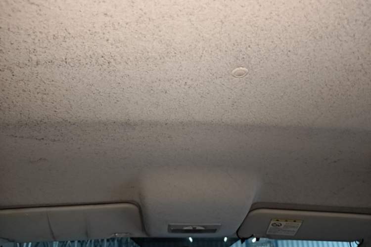 Used Mazda 2 2009 1.5L Automatic Value Edition Headliner