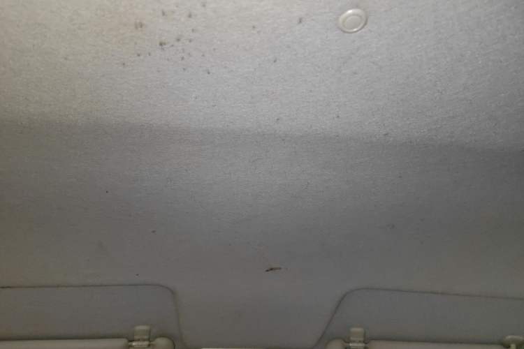 Used Mazda 2 2011 XuanDong 1.5L Manual Fashion Edition Headliner