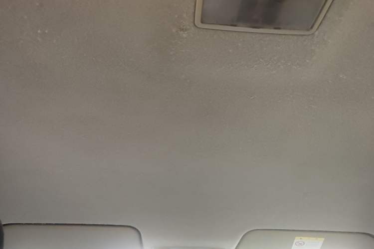 Used Mazda 3 2007 1.6L Manual Standard Edition Headliner