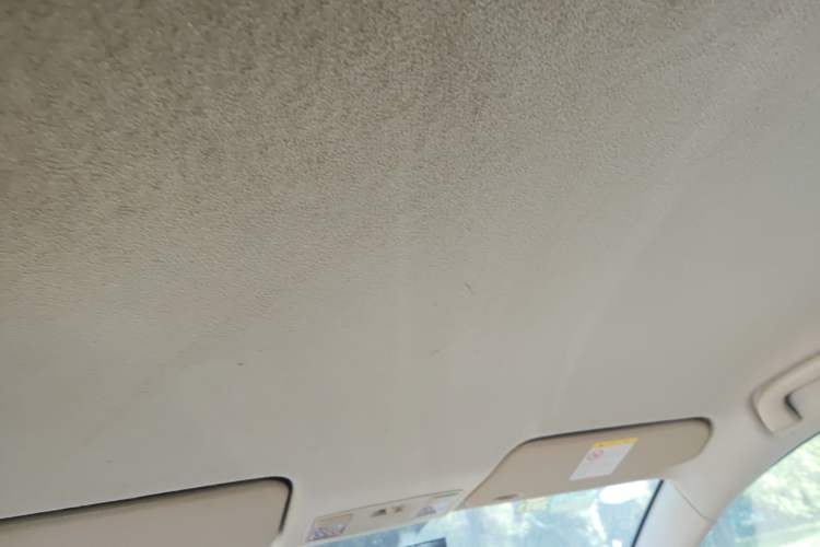 Used Mazda 3 2010 2.0L Manual Classic Sports Edition Headliner