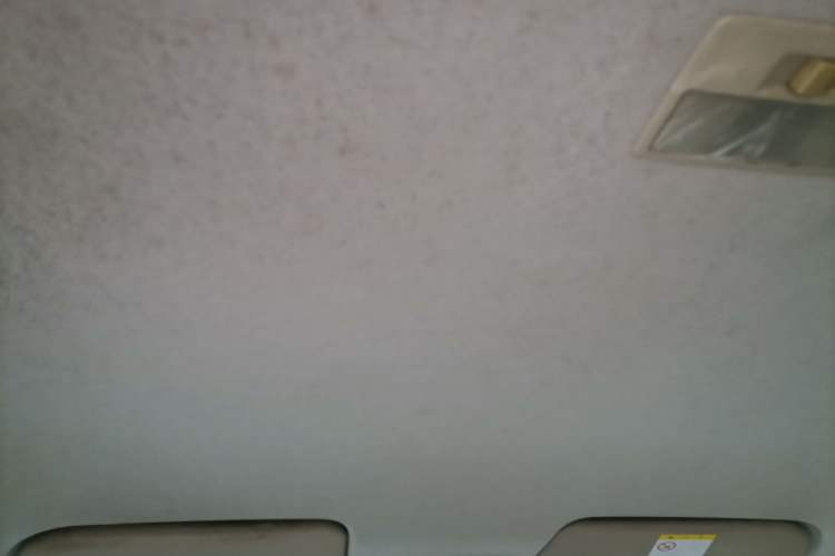Used Mazda 3 2010 1.6L Automatic Classic Stylish Version Headliner