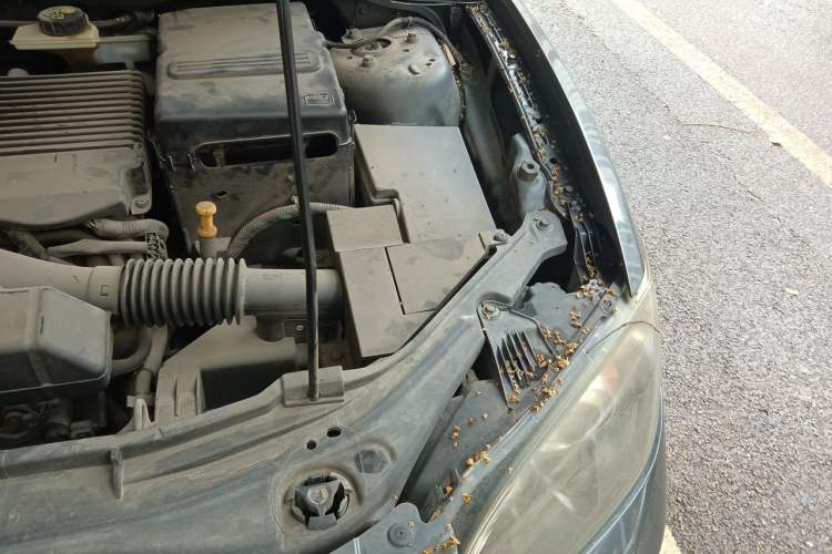 Used Mazda 3 2010 1.6L Automatic Classic Elite Edition Engine Bay Left