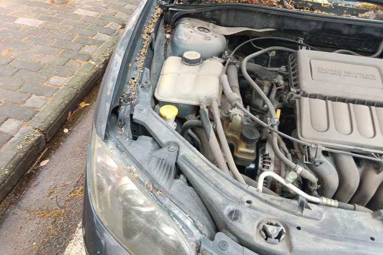 Used Mazda 3 2010 1.6L Automatic Classic Elite Edition Engine Bay Right