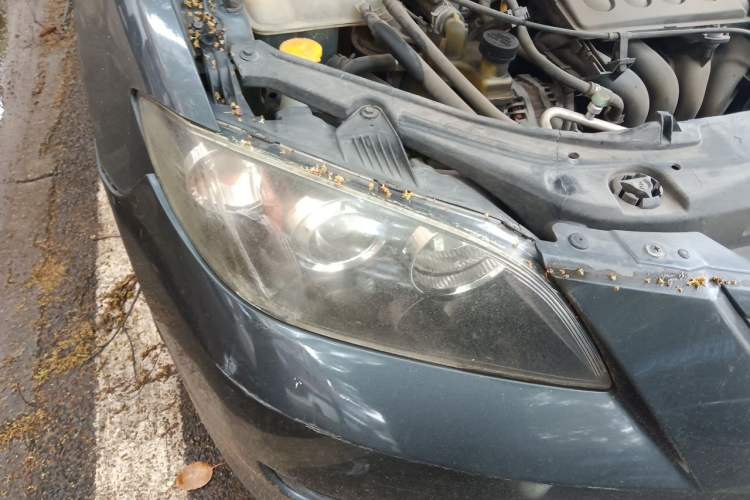 Used Mazda 3 2010 1.6L Automatic Classic Elite Edition Right Front Headlight