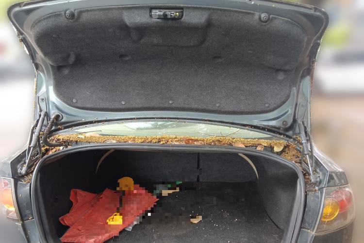 Used Mazda 3 2010 1.6L Automatic Classic Elite Edition Trunk