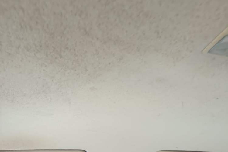 Used Mazda 3 2010 1.6L Manual Classic Stylish Version Headliner