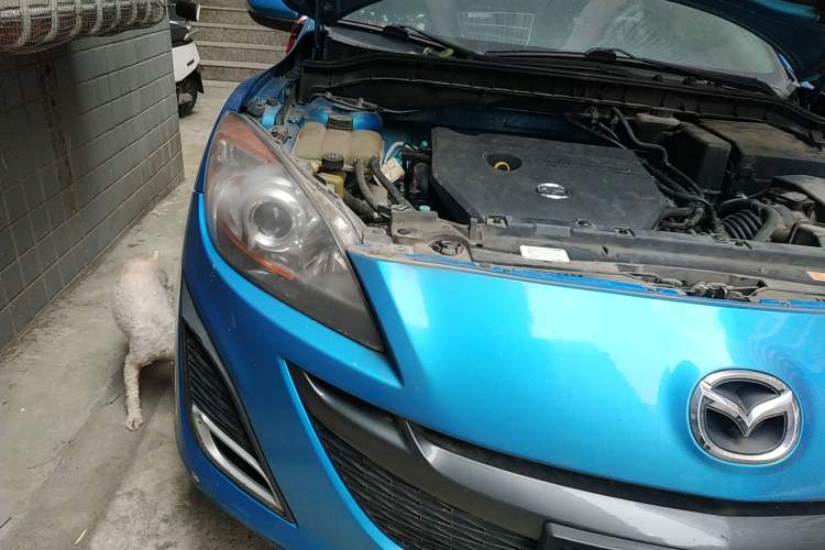 Used Mazda 3 2011 Sedan 2.0L Manual Sport Model Engine Bay Right