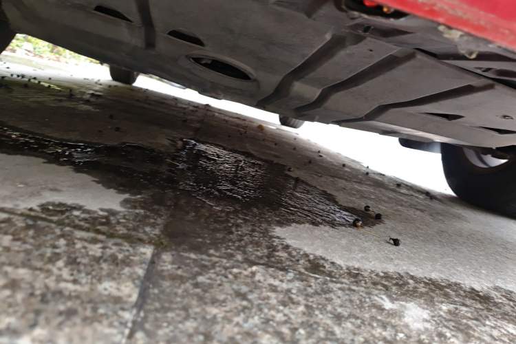 Used Mazda 3 2011 Sedan 1.6L Automatic Comfort Model Chassis Front