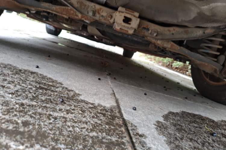 Used Mazda 3 2011 Sedan 1.6L Automatic Comfort Model Chassis Rear