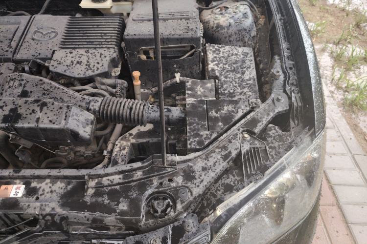 Used Mazda 3 2012 1.6L Automatic Classic Special Offer Engine Bay Left