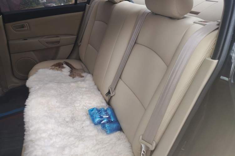 Used Mazda 3 2012 1.6L Automatic Classic Special Offer Left Rear Seat