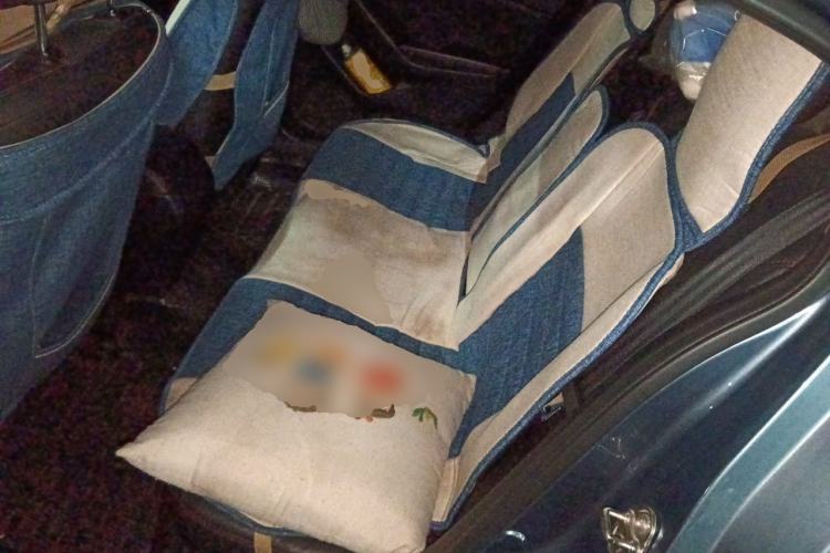 Used Mazda 3 Axela 2014 Sedan 2.0L Automatic Sport Model Left Rear Seat
