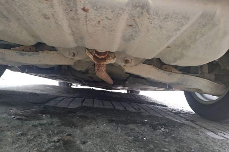 Used Mazda 3 Axela 2014 Sedan 1.5L Automatic Comfort Model Chassis Rear