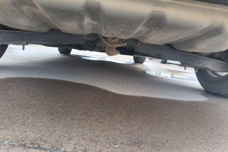 Used Mazda 3 Axela 2014 Sedan 1.5L Manual Comfort Model Chassis Rear