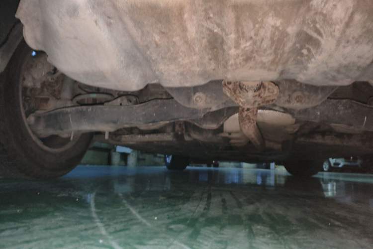 Used Mazda 3 Axela 2014 Sedan 1.5L Automatic Luxury Model Chassis Rear
