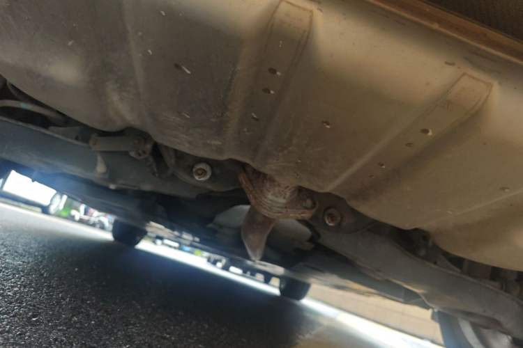 Used Mazda 3 Axela 2016 Sedan 2.0L Automatic Flagship Model Chassis Rear