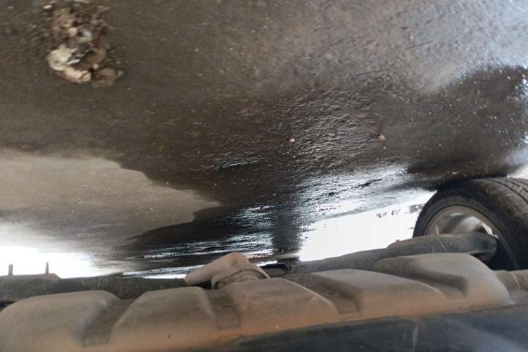 Used Mazda 3 Axela 2016 Sedan 2.0L Automatic Sport Model Chassis Rear