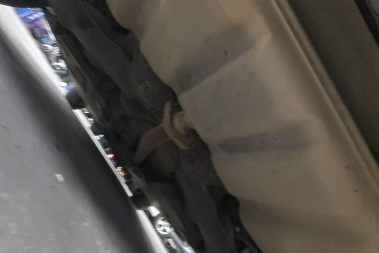 Used Mazda 3 Axela 2016 Sedan 1.5L Manual Comfort Model Chassis Rear