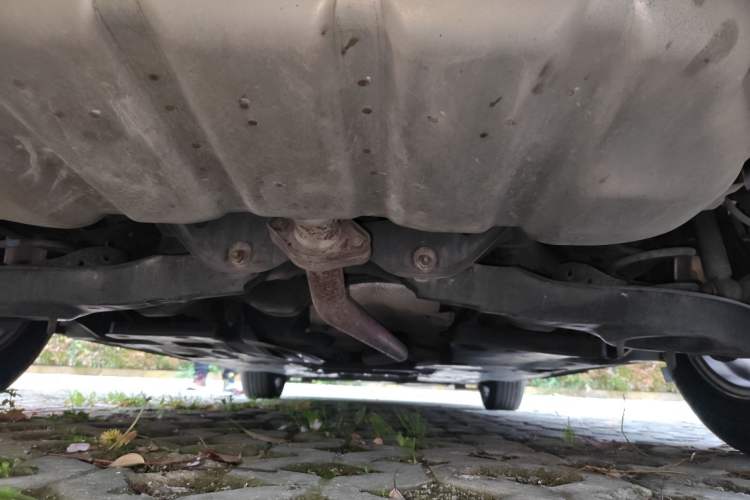 Used Mazda 3 Axela 2016 Sedan 1.5L Automatic Comfort Model Chassis Rear
