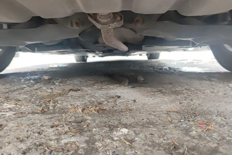 Used Mazda 3 Axela 2016 Sedan 1.5L Manual Comfort Model Chassis Rear