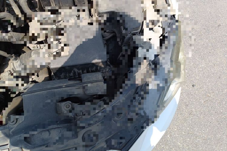 Used Mazda 3 Axela 2016 Sedan 1.5L Automatic Comfort Model Engine Bay Left