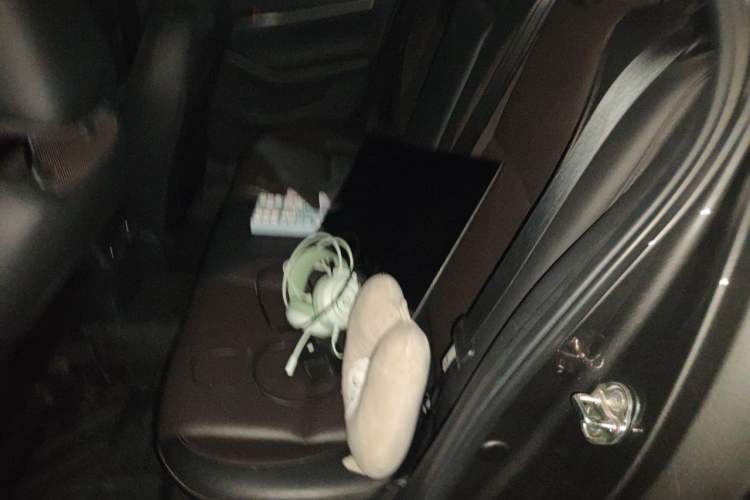 Used Mazda 3 Axela 2020 1.5L Automatic Luxury Version Left Rear Seat