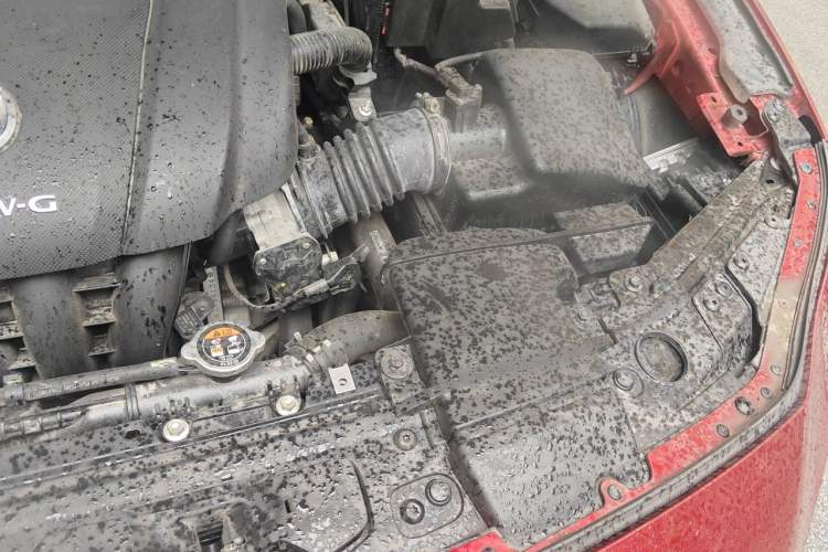 Used Mazda 3 Axela 2020 2.0L Automatic Zhiya Edition Engine Bay Left