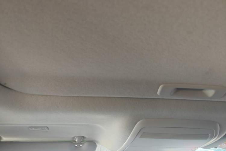 Used Mazda 3 Axela 2020 2.0L Automatic Luxury Version Headliner