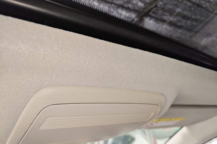 Used Mazda 3 Axela 2020 2.0L Automatic Zhiya Edition Headliner