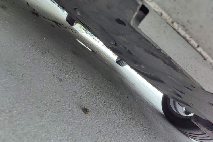 Used Mazda 3 Axela 2020 2.0L Automatic Zhiya Edition Chassis Front