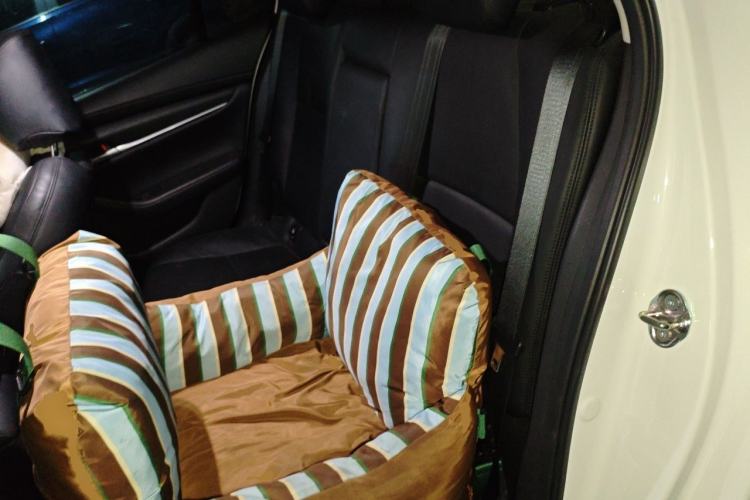 Used Mazda 3 Axela 2020 1.5L Automatic ZhiMei Edition Left Rear Seat