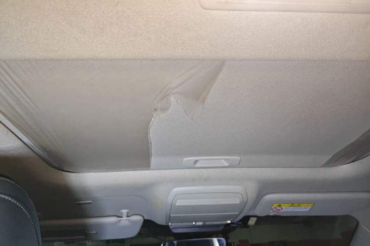 Used Mazda 3 Axela 2021 2.0L Automatic Zhiya Edition Headliner